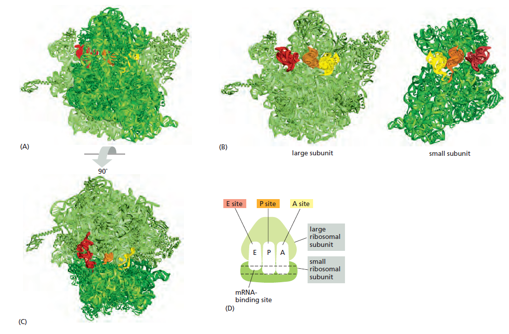 Figure 6-62.png
